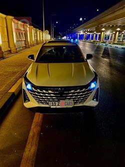 شانجان يوني كي